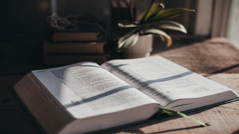 Psalm 34 gaan oor die Here wat die gelowige beskerm